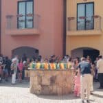 Open Day: Sunshine on the Summer Solstice