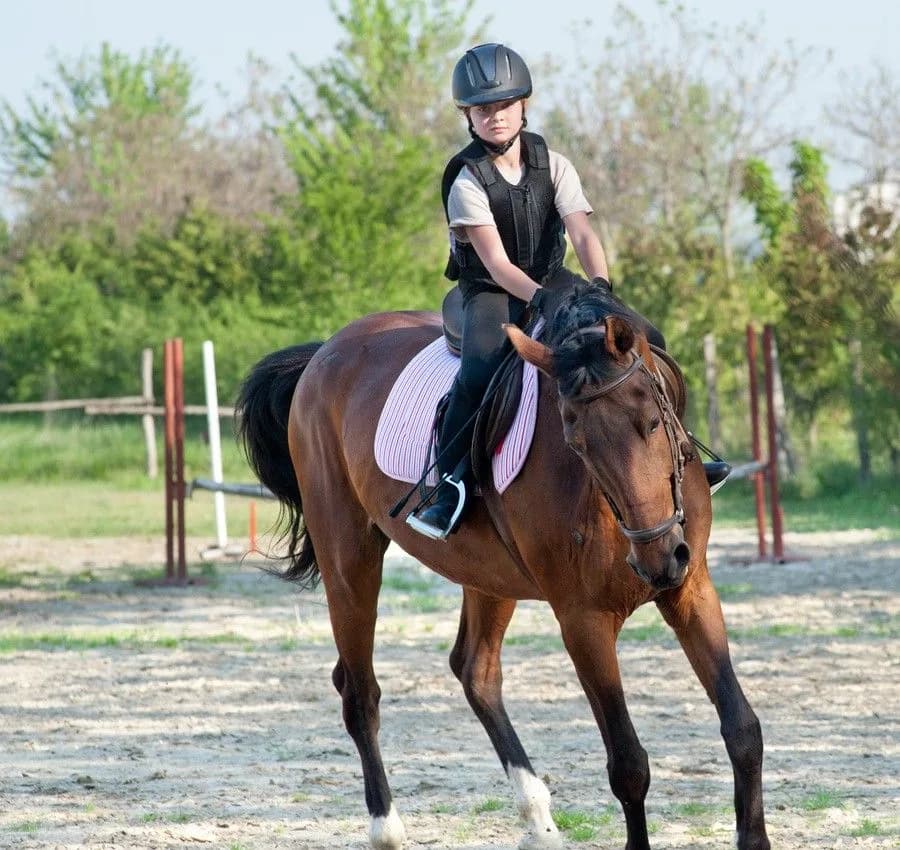 Equestrian